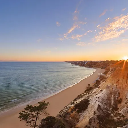 Hotel Pine Cliffs Gardens 5*