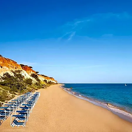 Hotel Pine Cliffs Gardens 5*