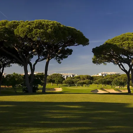 فندق Pine Cliffs Gardens