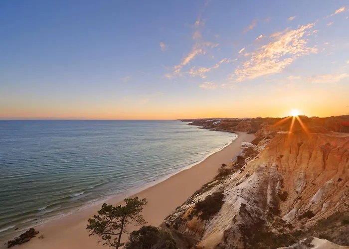 Szálloda Pine Cliffs Gardens 5*